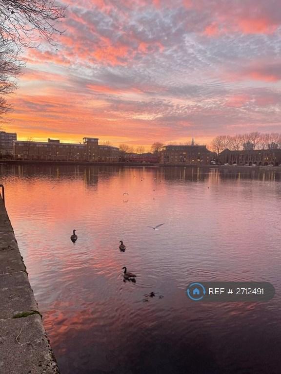 Studio flat in Rope Street, London, SE16 (#2712491)