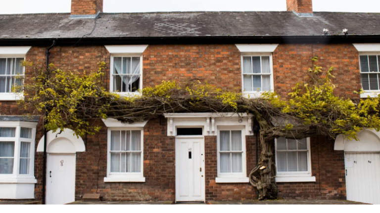 3 bedroom house to let