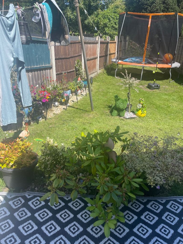Wanted rabbit hutch