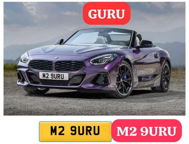 M2 Guru Number plate