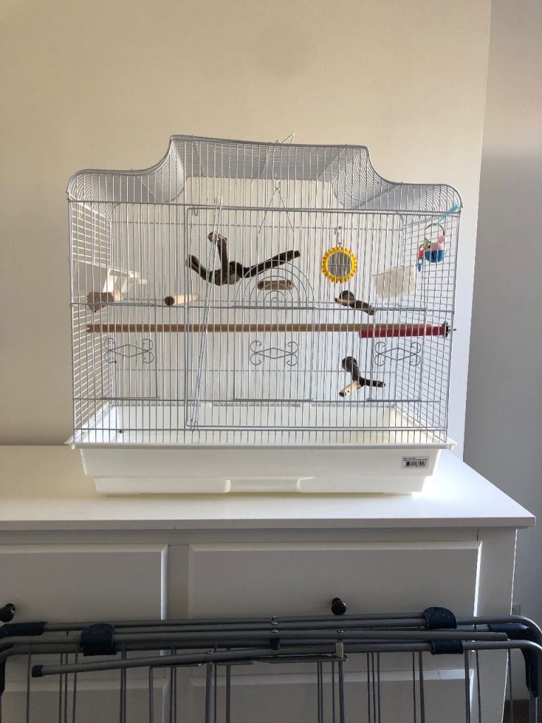 White bird cage