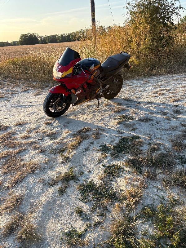 Honda, CBR, 1996, 599 (cc)