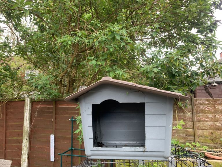 Outdoor dog house