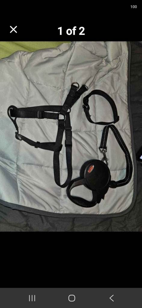 Dog harness coller and flexi lead