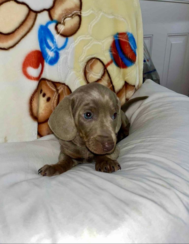 one beautiful boy available 