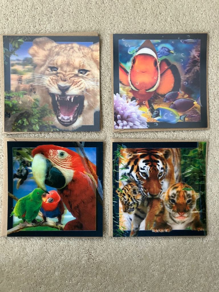 4 colourful 3D Postcards: Lion, Tiger, Parrot and Fish