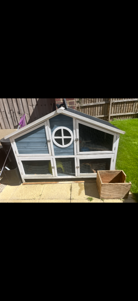 Guinea pig hutch 