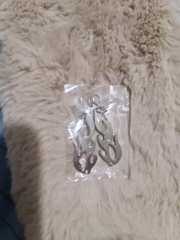 Earings BNWT 