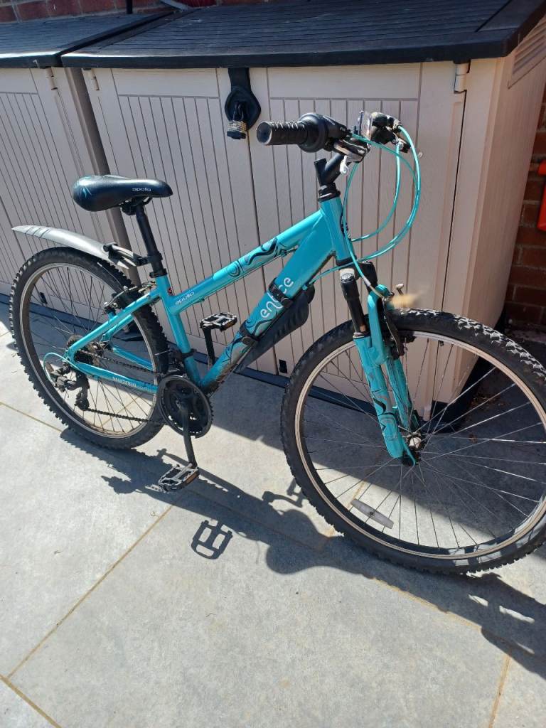 Ladies mountain bike 