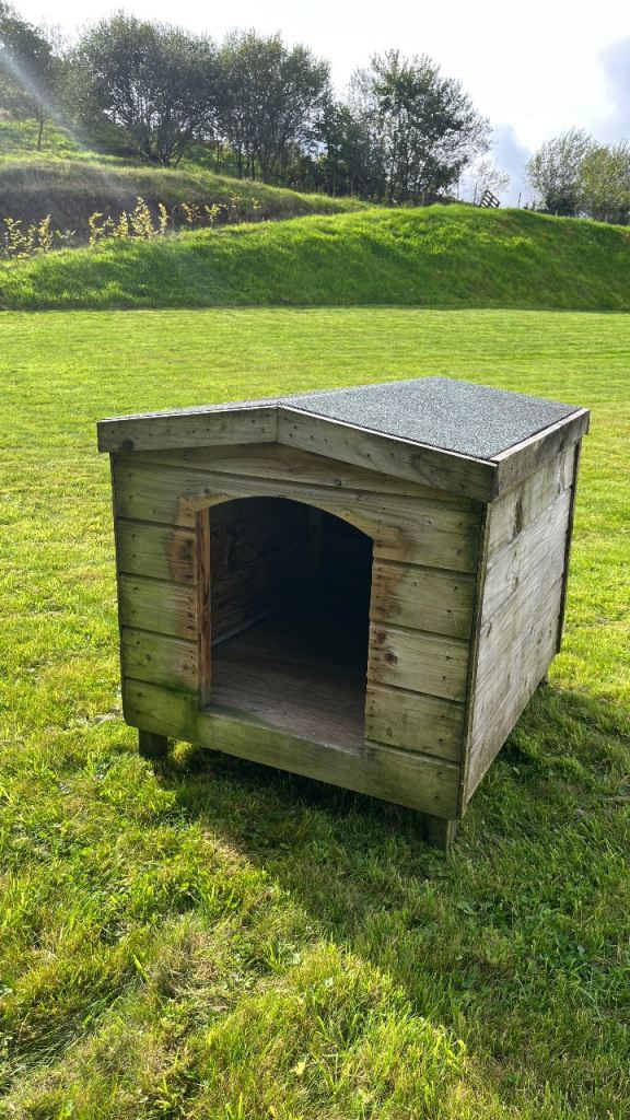 Dog Kennel 