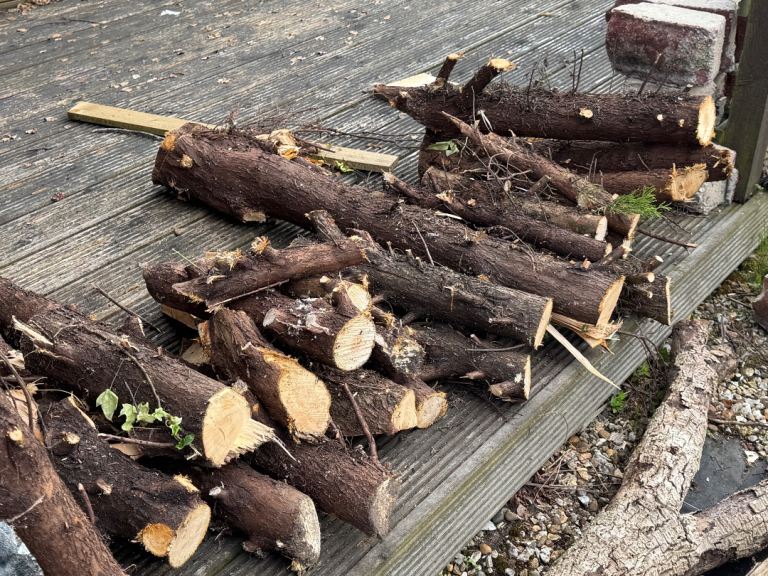 Logs