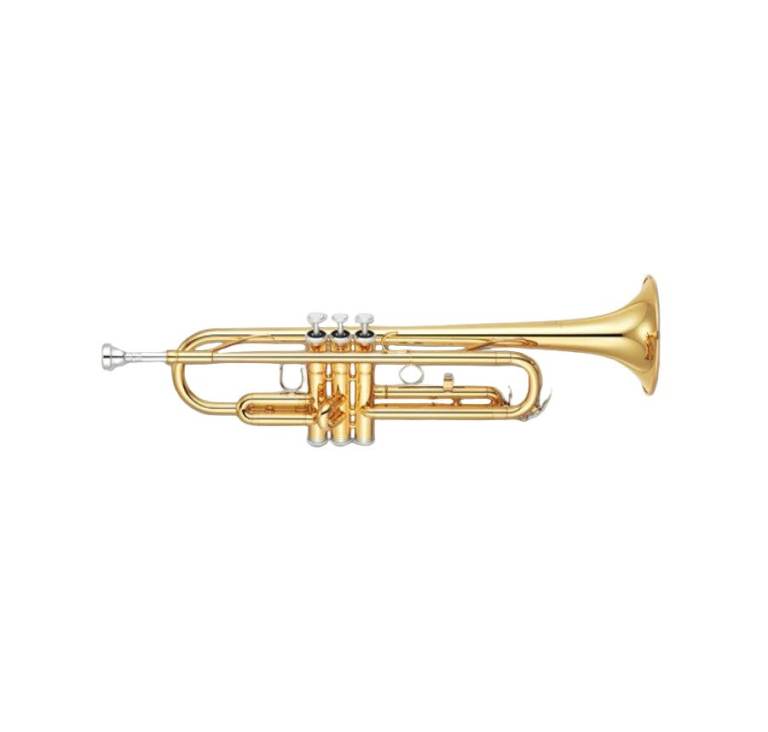 Salsa horn player (trumpet / trombone)
