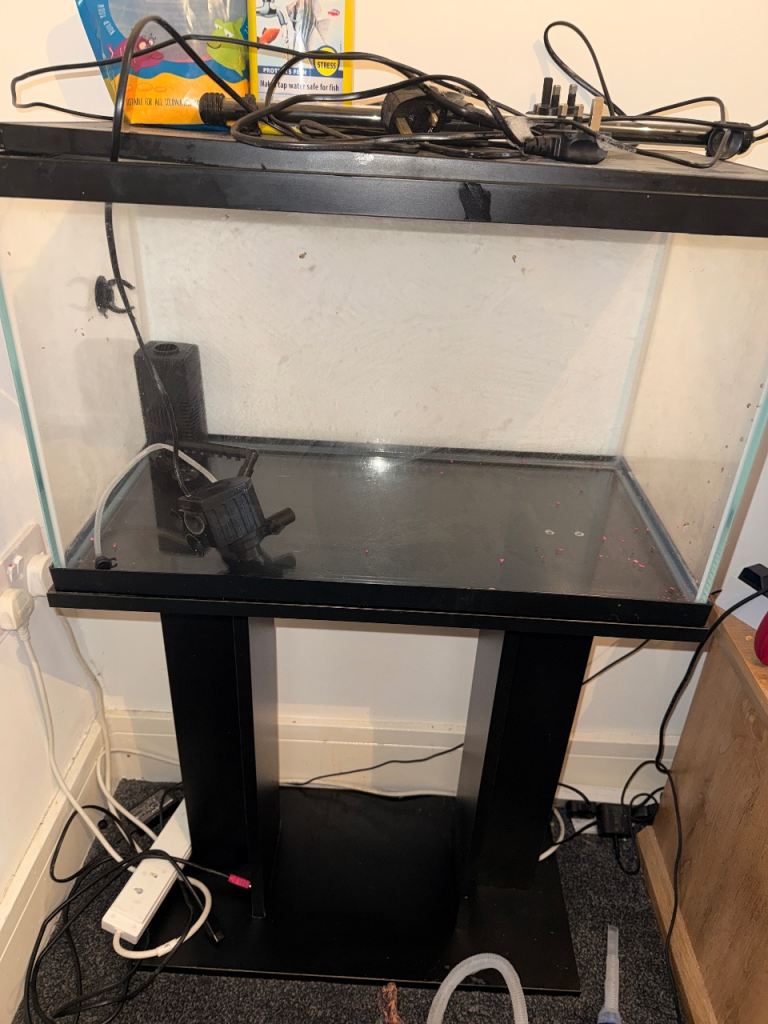 Second-Hand Aquariums for Sale in Pontypool, Torfaen | Gumtree