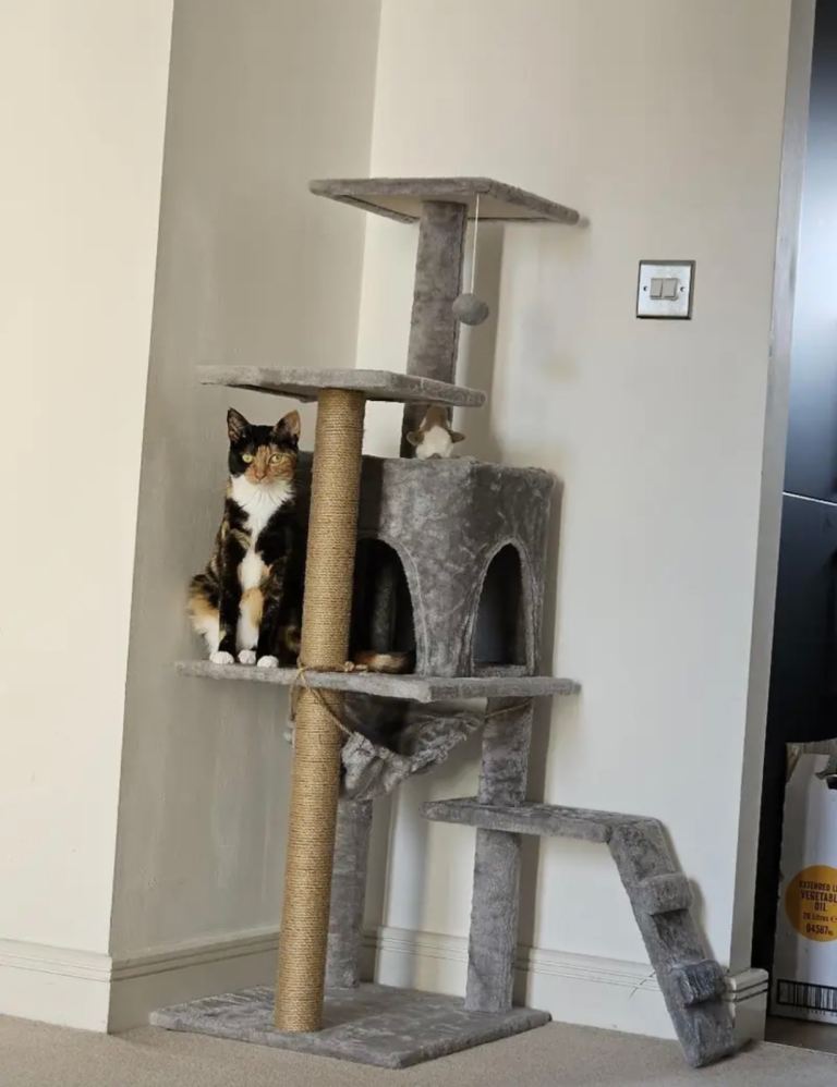 Cat scratch tower / tree post