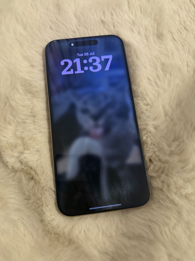 Silver iPhone 15 Pro Max 
