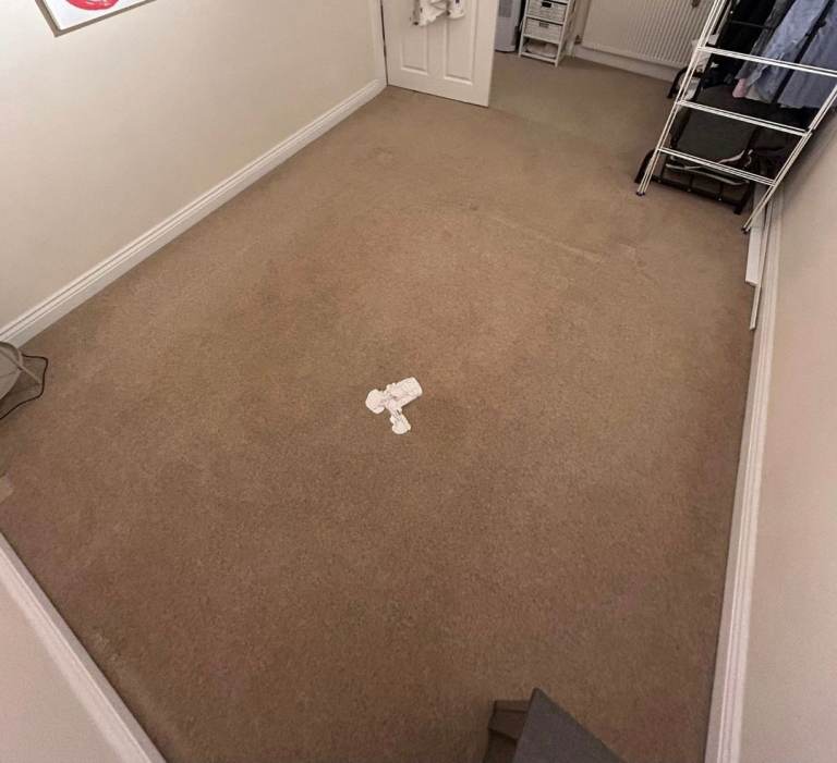 Wool Carpet Used but fair condition 