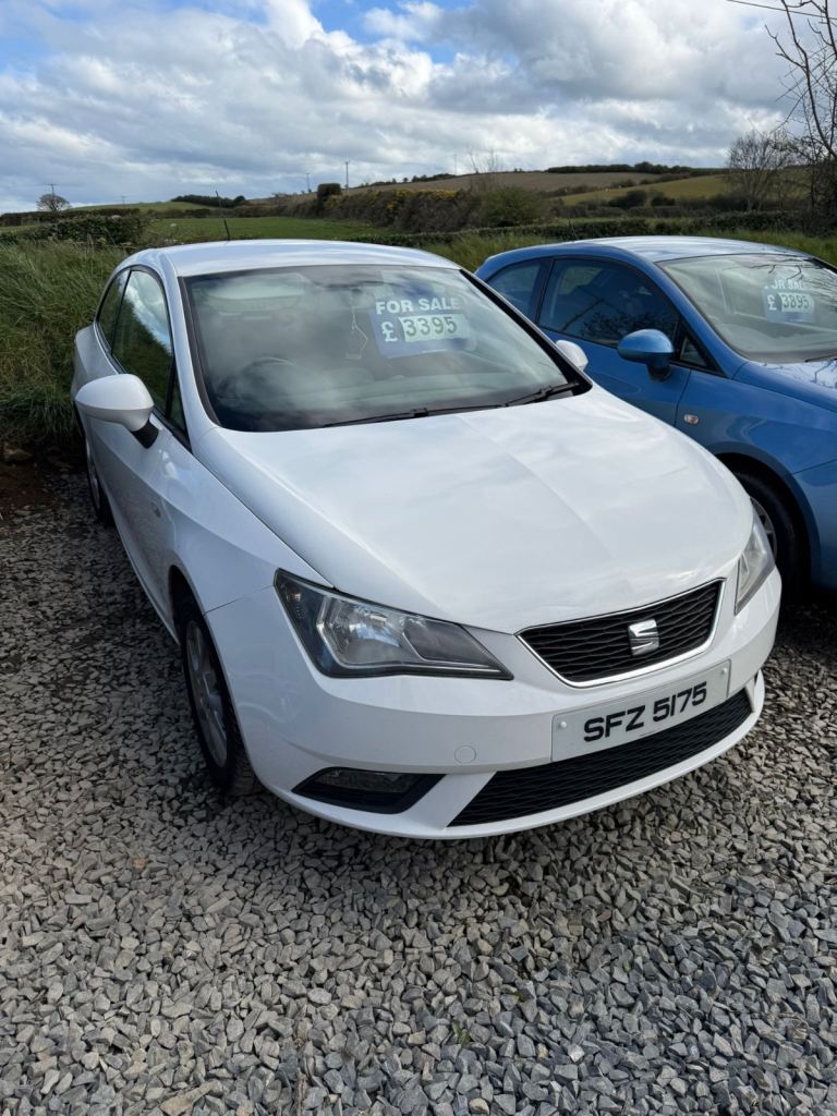 Seat Ibizas and Volkswagen Polos 