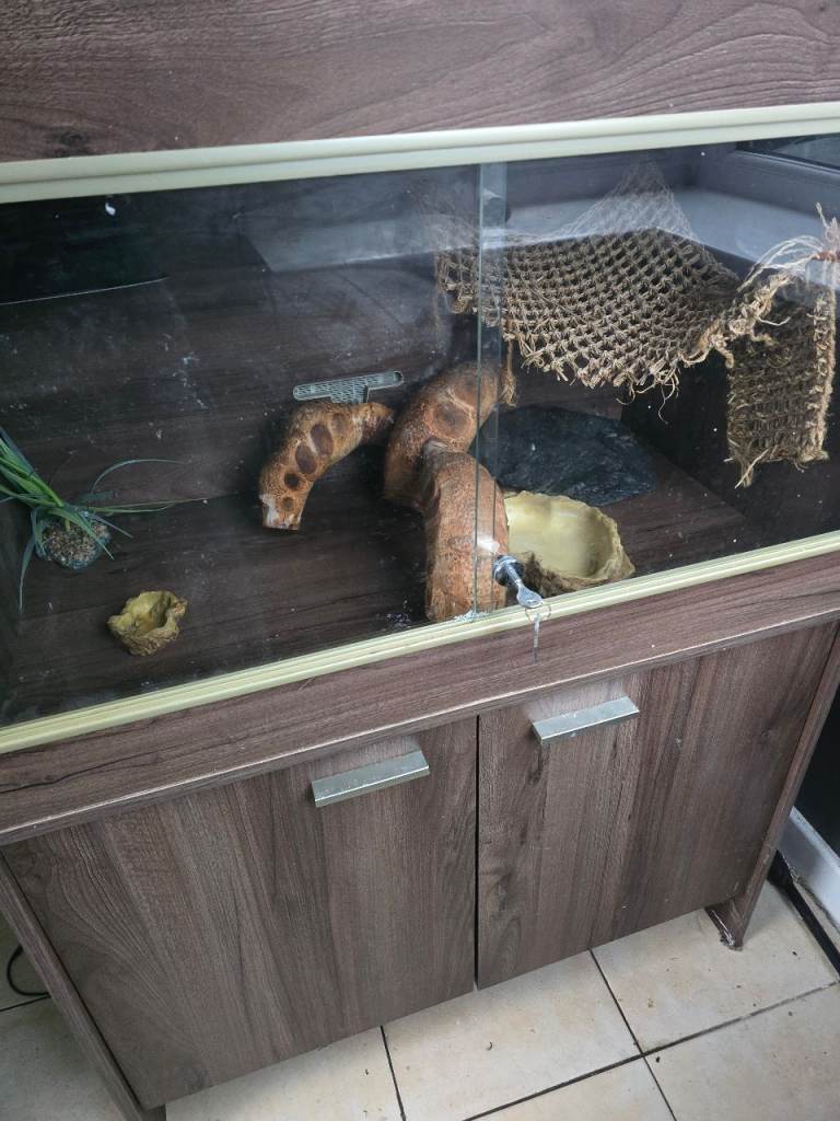 Vivarium 
