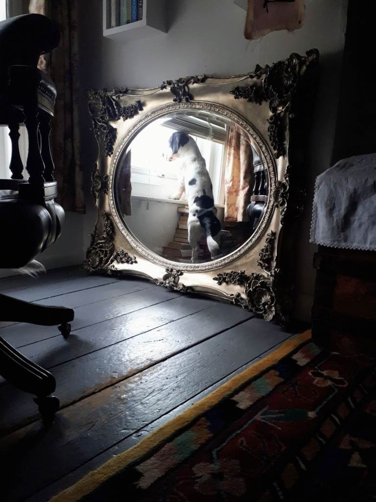 Large Classical Ornate Mirror