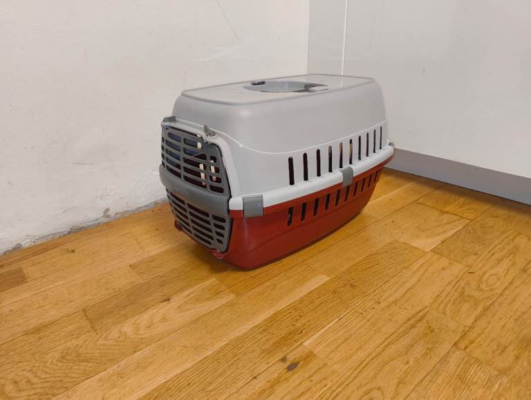 Small Size Pet Basket Okay Condition