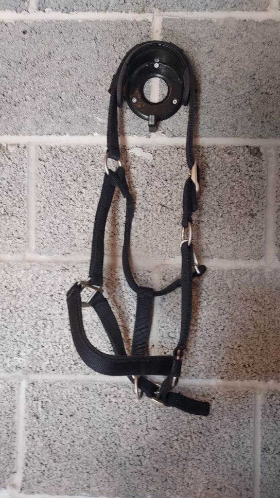 R&R Country Head Collar Black Full