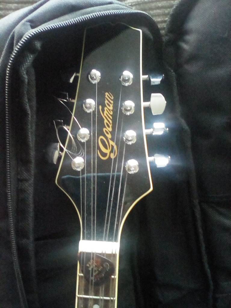 Left. Handed mandolin