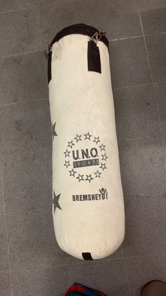 Boxing Bag with Chains