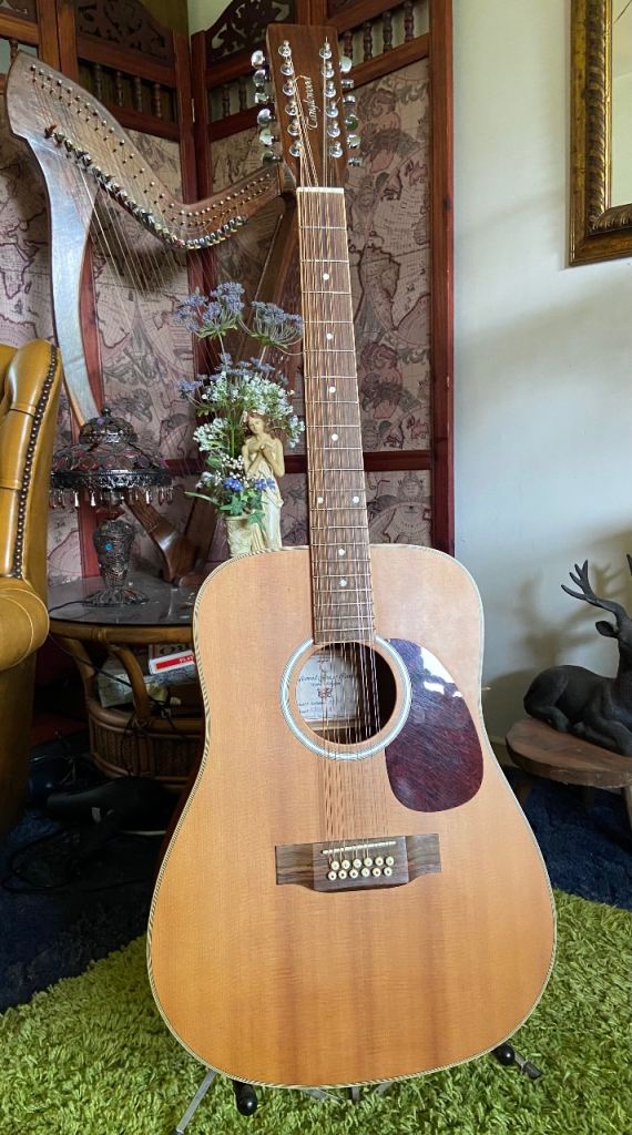 TANGLEWOOD 12 String Acoustic Guitar. 