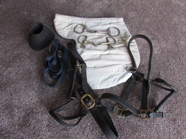 HORSE ACCESSORIES