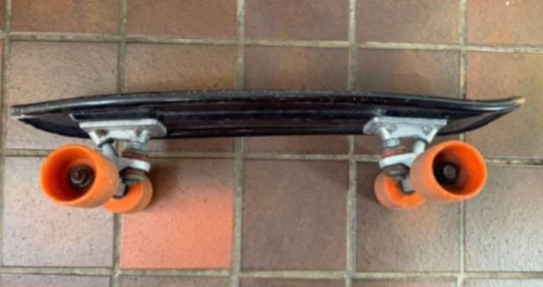 Skateboard/Penny Board 