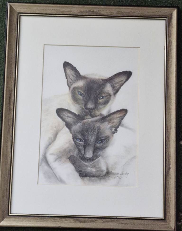 2 Siamese cats coloured pencil drawing by Jeanne Bexley. signed and dated 2014