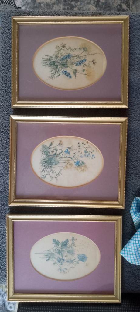 Set of 3 Vintage Gold Framed Floral Pictures – Good Condition