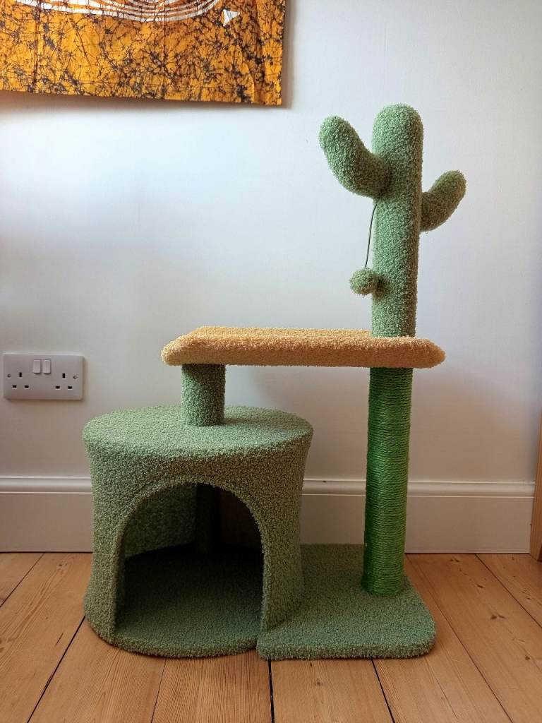 Kitten tree