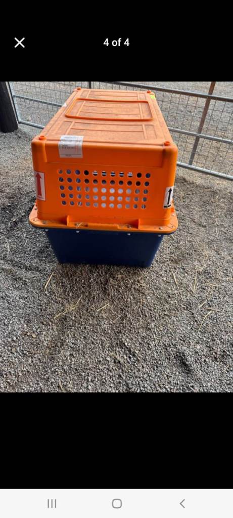 Travel dog crate 