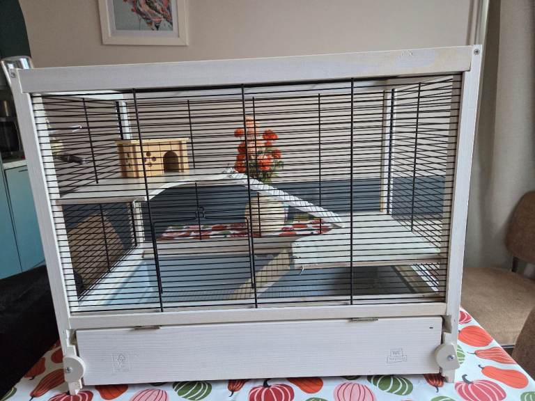 Dwarf Hamster Cage
