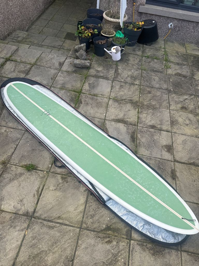 Skindog surfboards 9’4 quill 