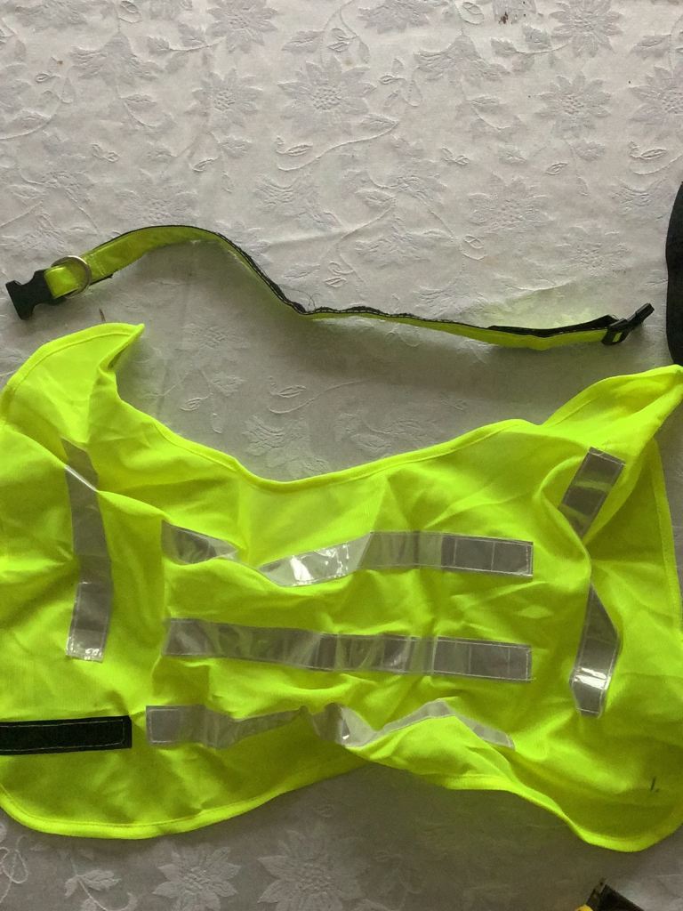 Hi-Vis dog coat and collar size medium 
