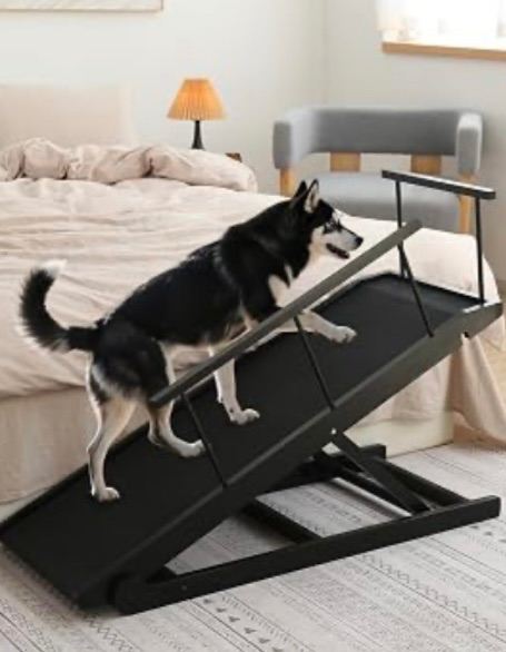 Dog ramp 