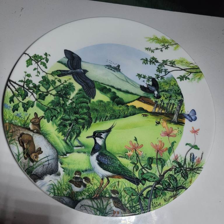 image for Wedgwood Bone China Made In England Rolling Hills And Grasslands Plate  J1