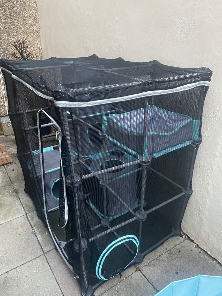 Cat activity centre 