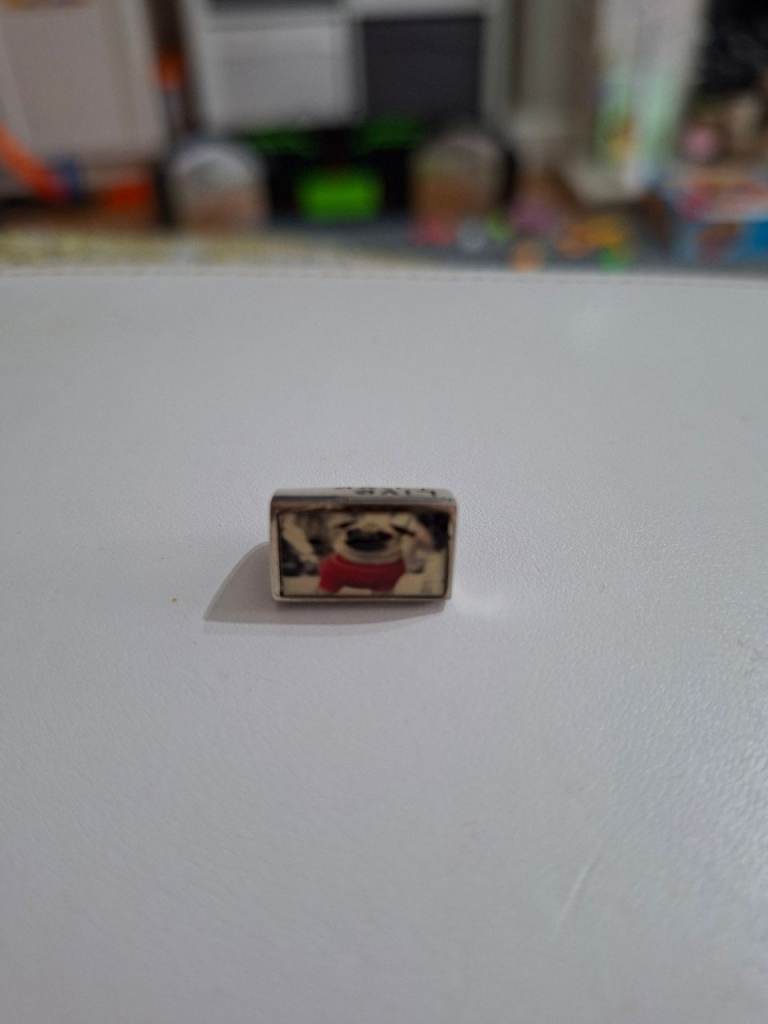 Pug dog charm