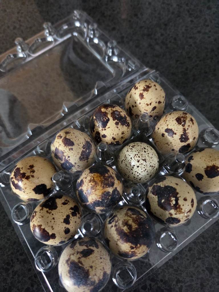 Quail eggs