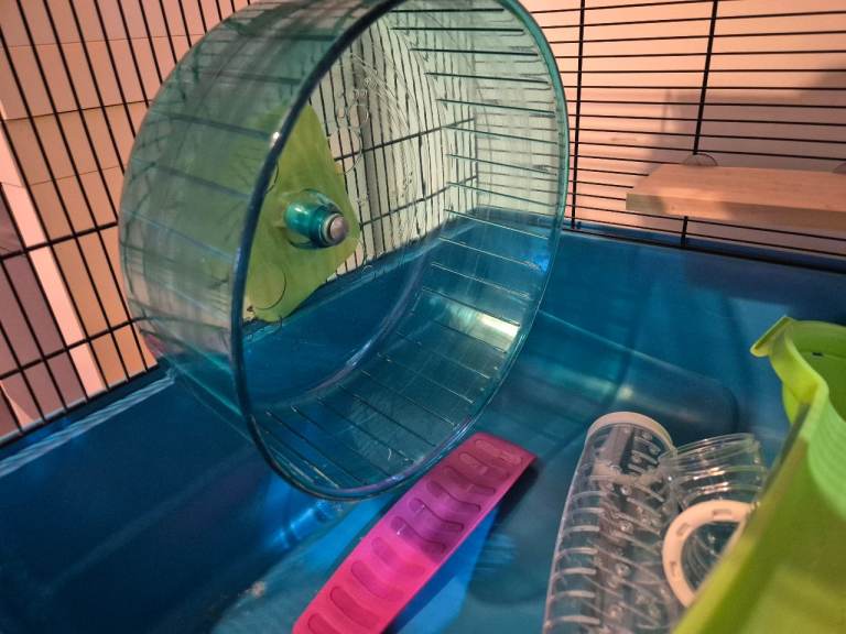 Hamster cage with accessories 