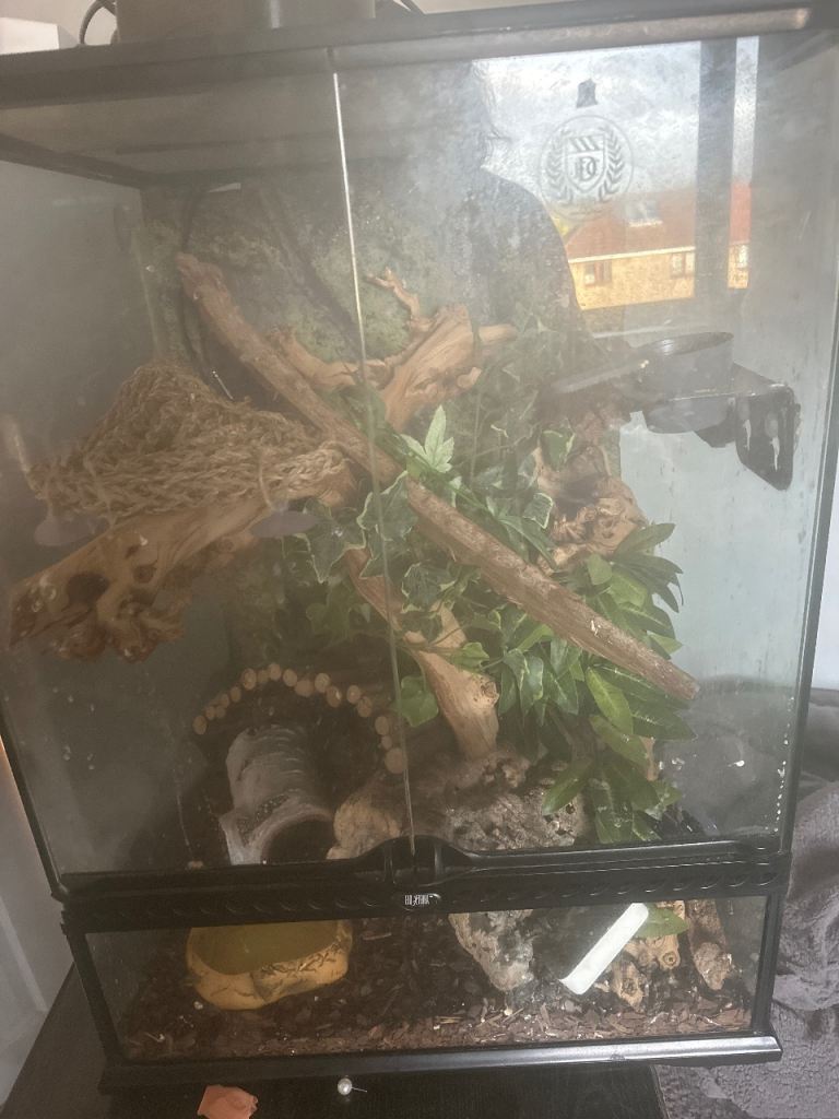 Full Vivarium set up