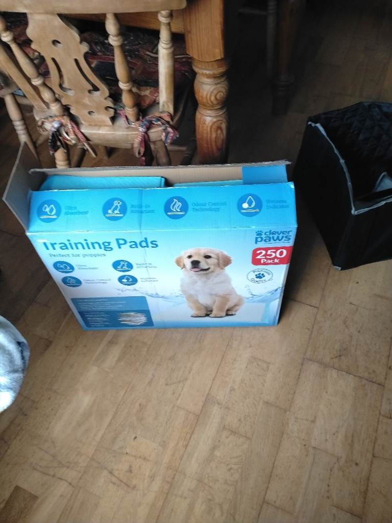New Box of Training Pads for Puppies and Dogs
