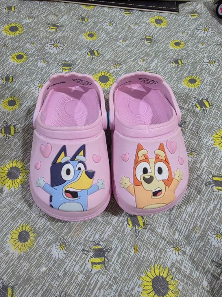 Brand new bluey clogs