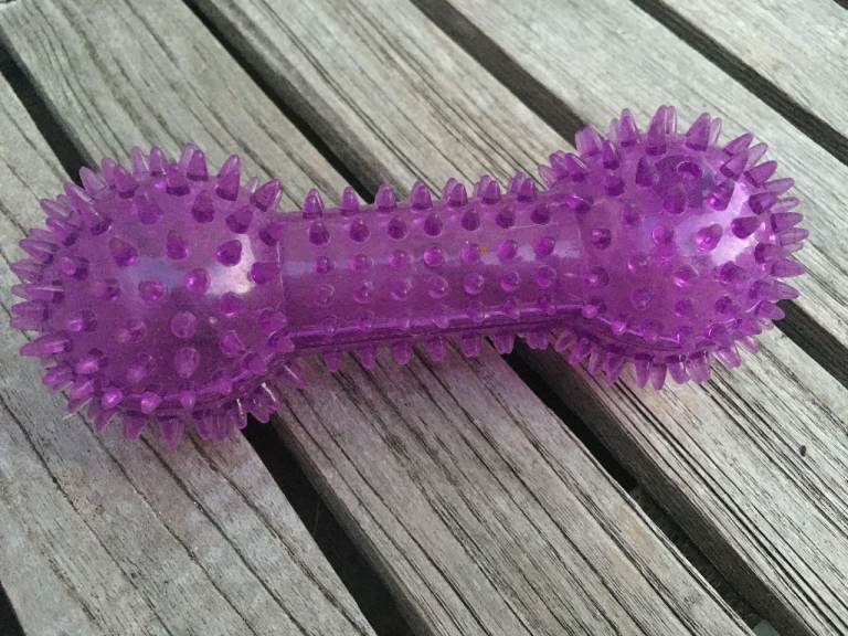 NEW UNUSED squeaky bone toy