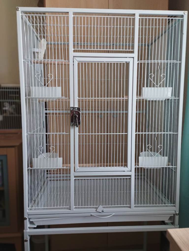 Bird cage for sale