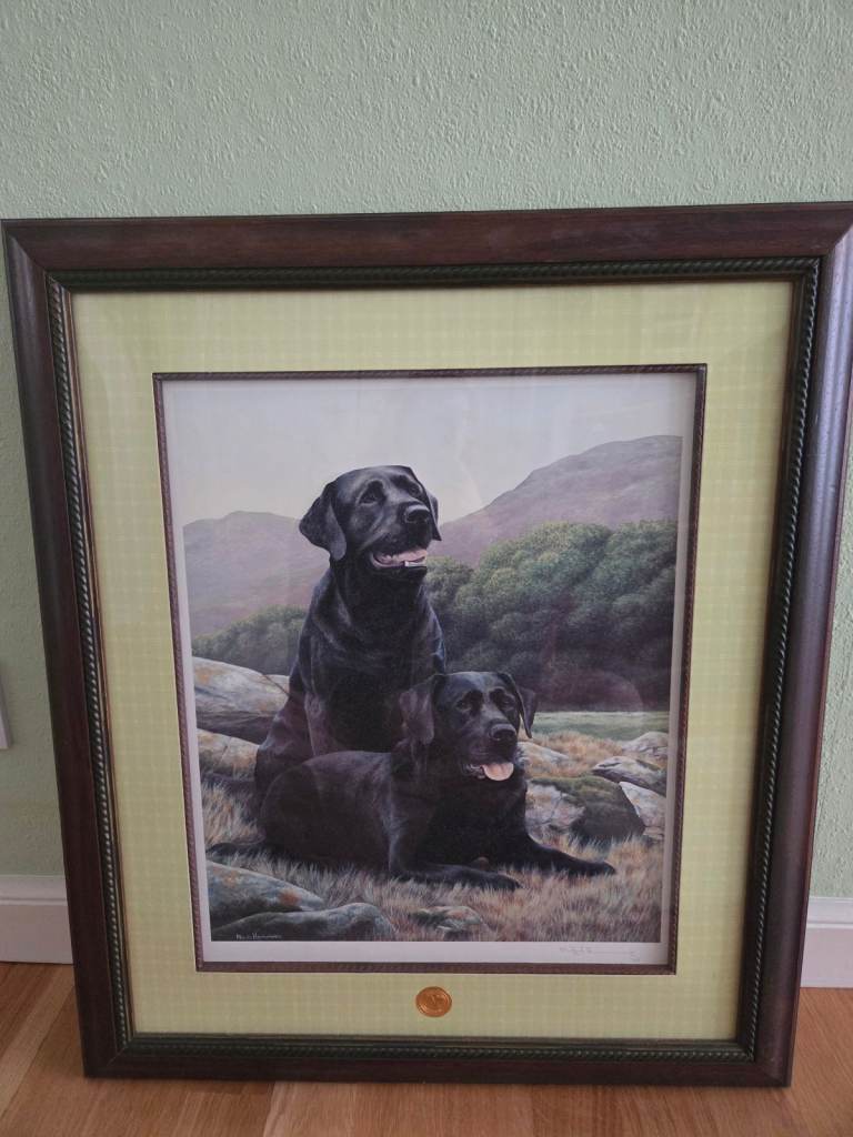Labrador picture and frame