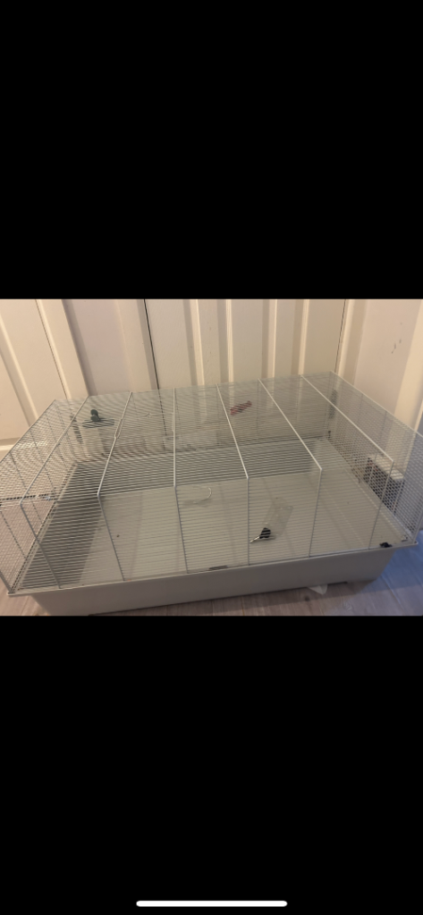 Large hamster cage 2 months old 